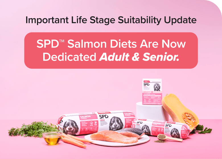 2436398_hero_m 2436398_hero_m