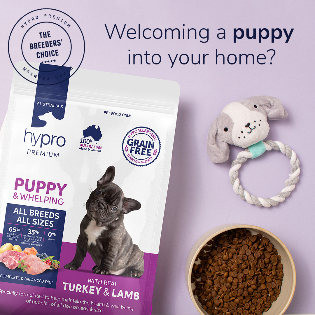 Flatlay of Hypro Premium Puppy & Whelping dog food with bowl and chew toy