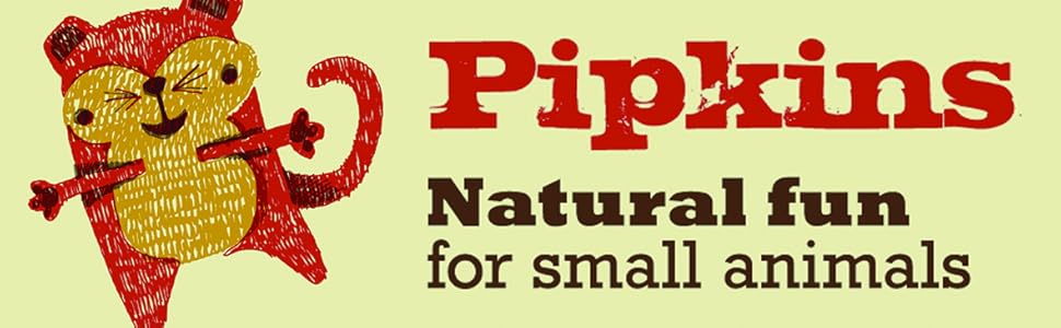 67f757e5-3df7-4301-b16c-a22c97e4d70b.__CR0,113,1181,365_PT0_SX970_V1___