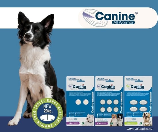 Canine allwormer new Canine allwormer new