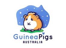 GuineaPigs
