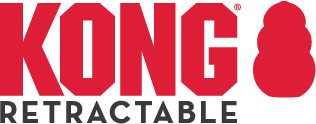 KONG Logo