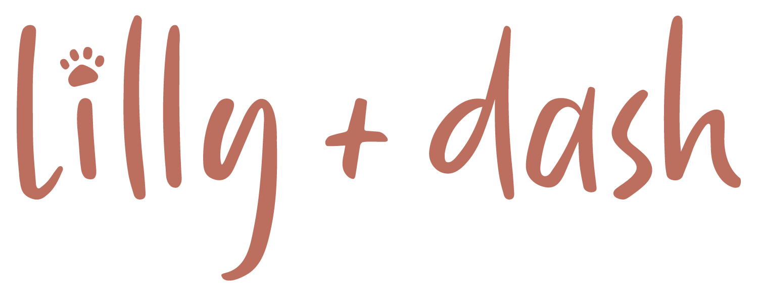 LillyDash_Logo_Auburn-1