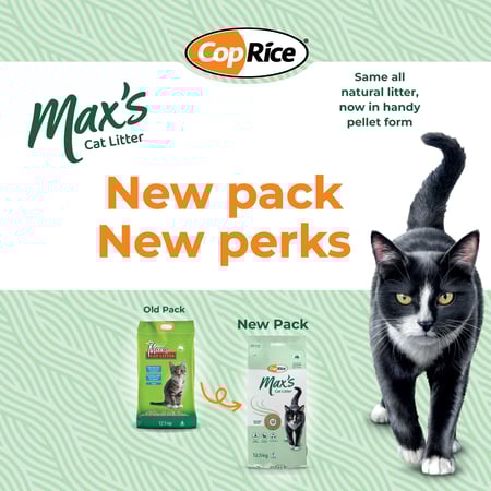 Maxs-cat-Litter-old-to-new_12.5kg_1080x1080px_Feb2025