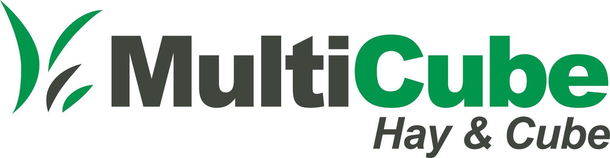 MultiCube Logo