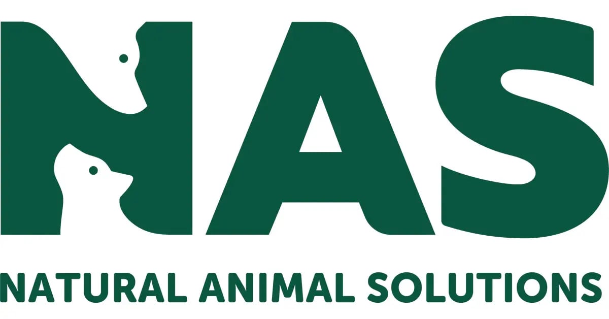 NAS_Logo_Name_7484c