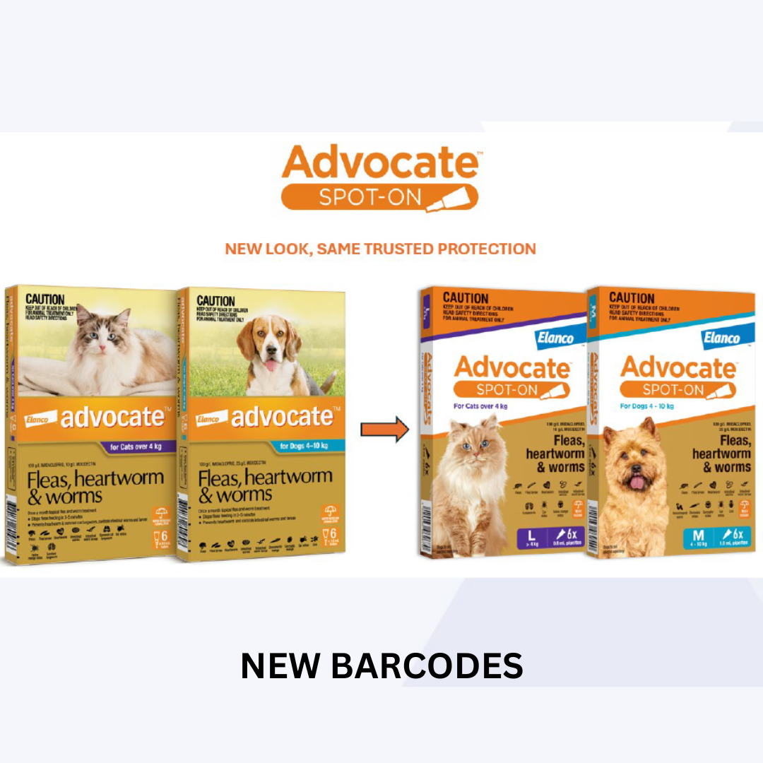 PRODUCT UPDATES (8)