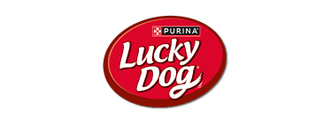 Purina_Aboutus_Desktop_LuckyDog_resized_240814