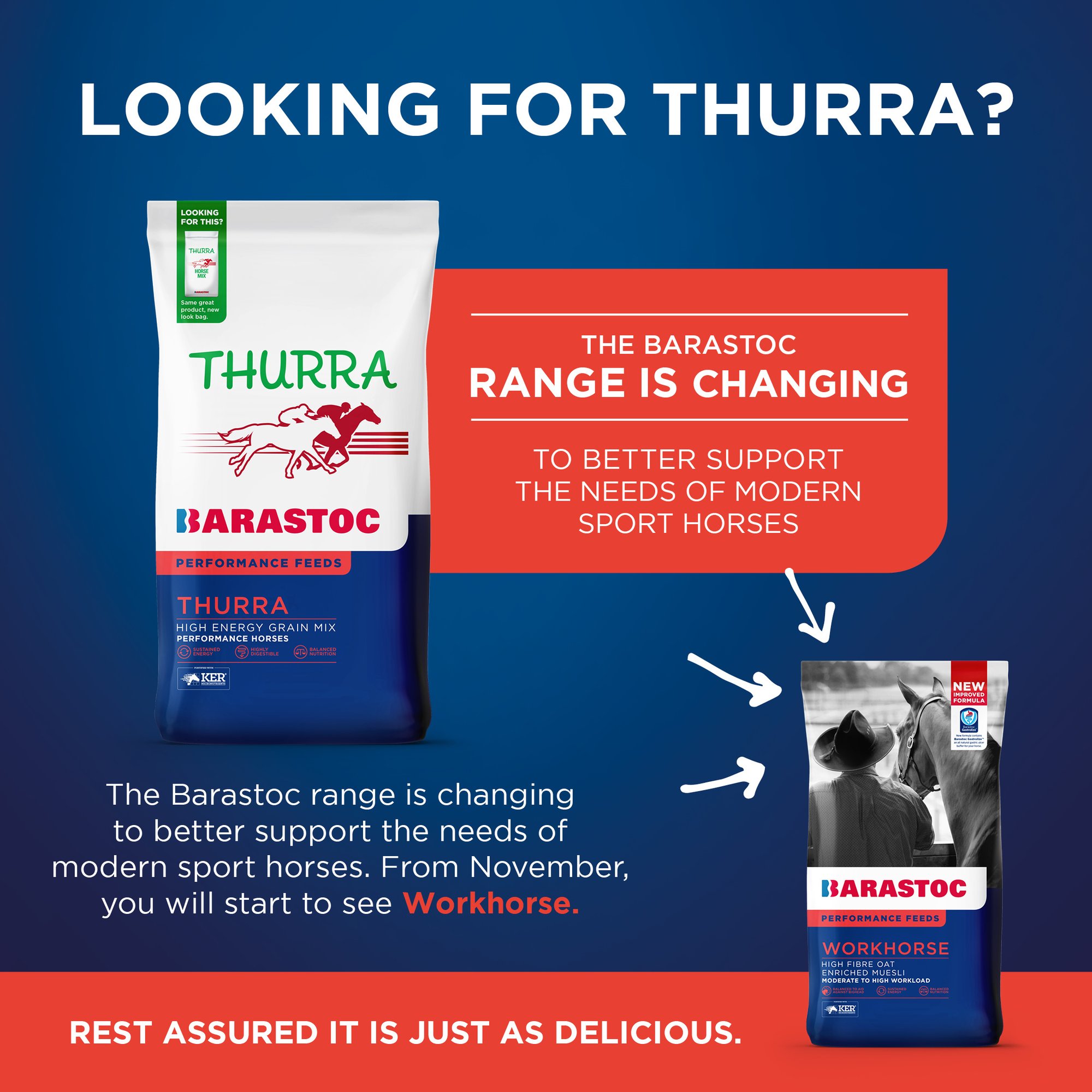Social_Tile_Barastoc_Horse_Thurra Deletion_2