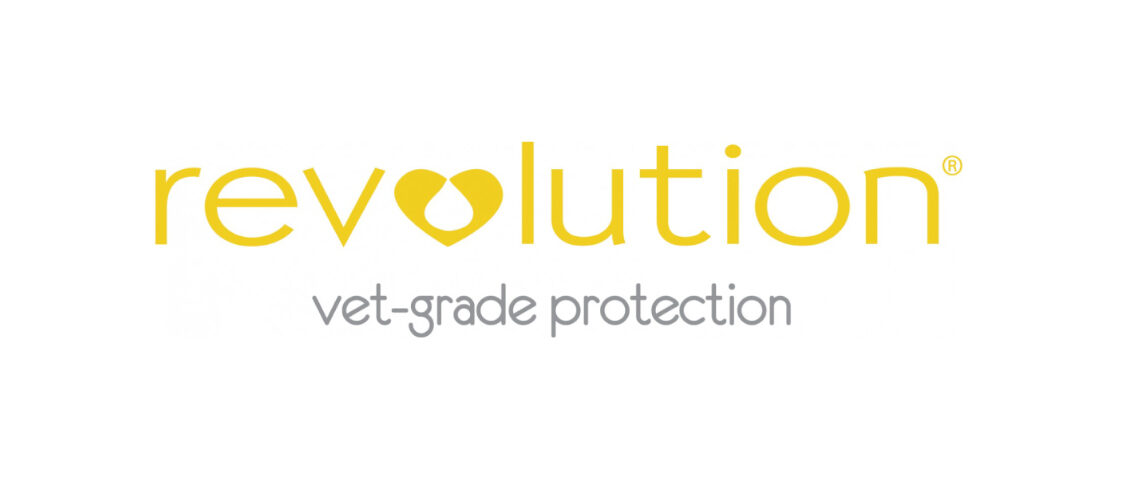 brand-revolution-1125x480