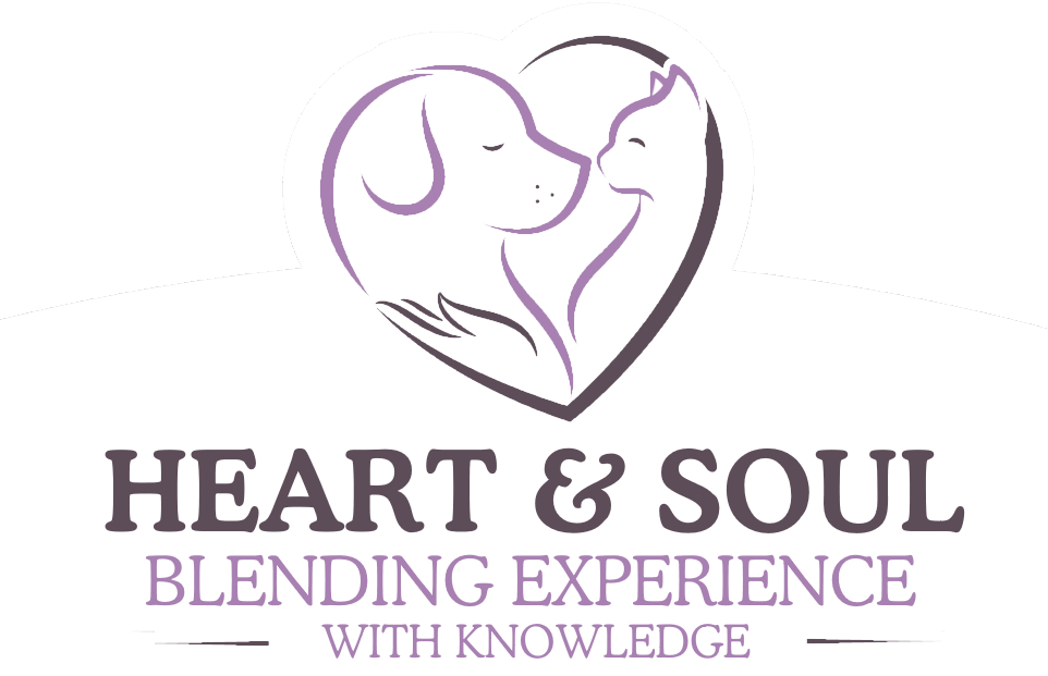 cropped-LOGO-Hi-Res-2