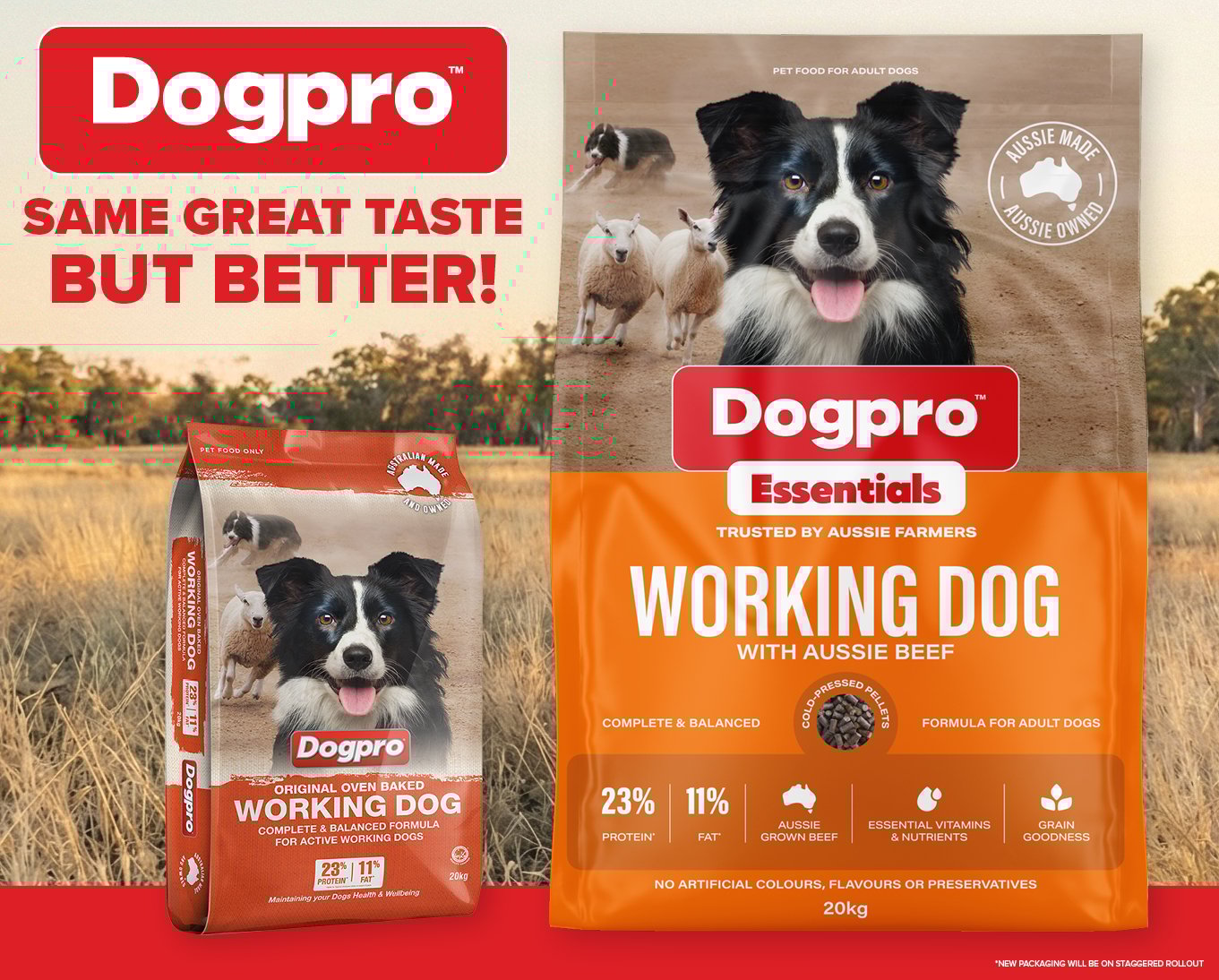 HS25-077 Look Out Dogpro FB Insta Story 980x788px SALES 20263